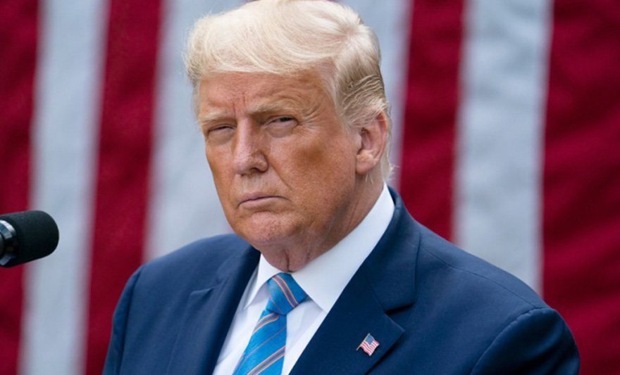 tramp donald.jpg